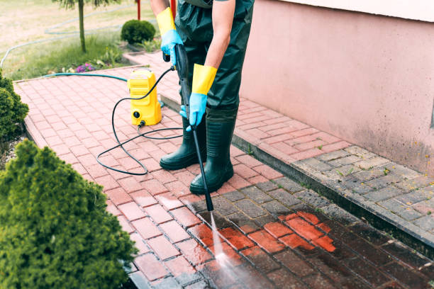 Best Brick and Stone Cleaning in Clifton, IL
